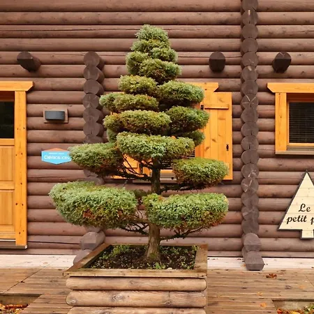 Chalet Le Petit Pre *